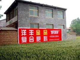 神木如何让墙体广告展现最大化效果